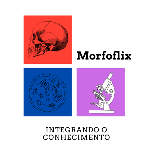 Morfoflix